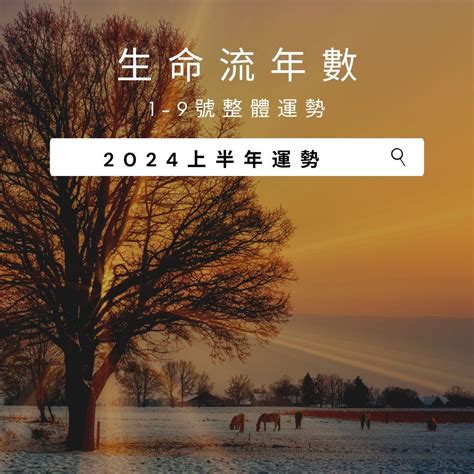 生命流年|掌握2024流年好運勢